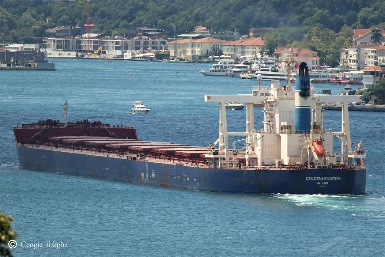 GOLDEN HOUSTON photo