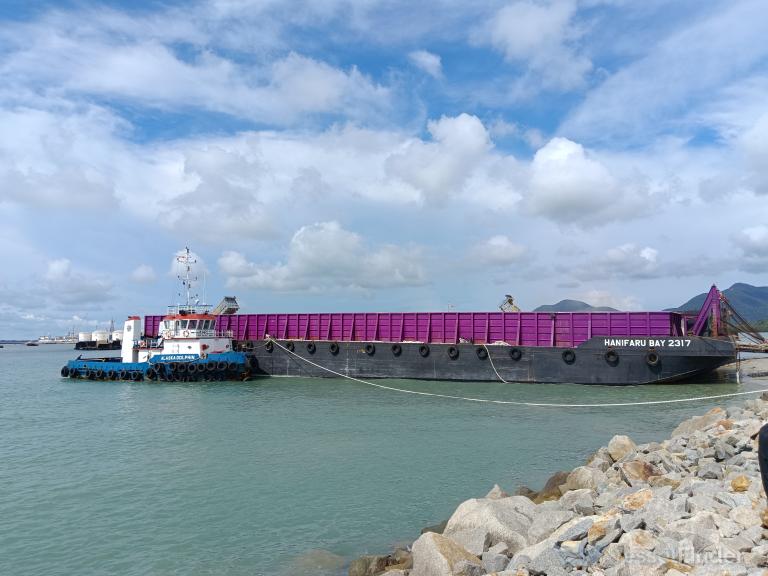 ALASKA DOLPHIN photo