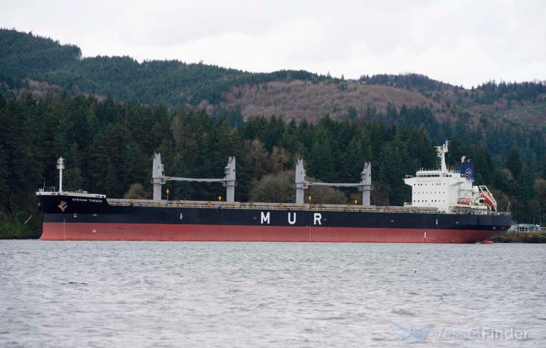 AFRICAN TURACO photo