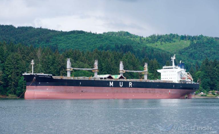 CRIMSON SPOONBILL photo