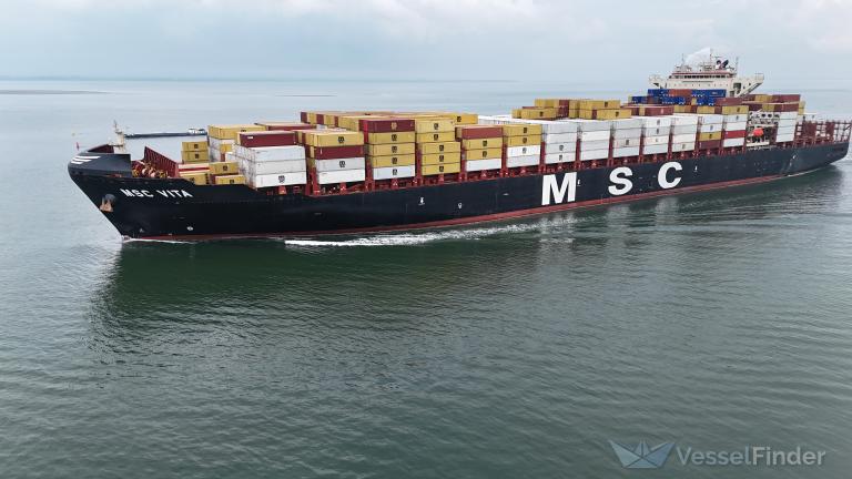 MSC VITA photo