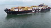 MSC-VITA
