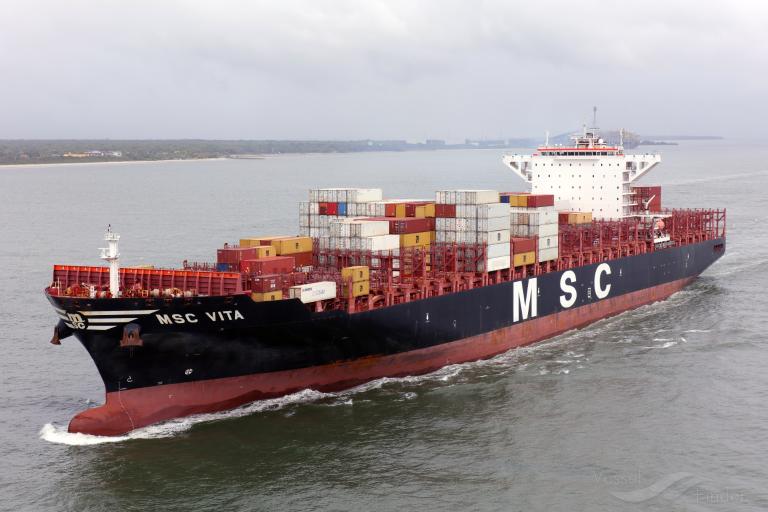 MSC VITA photo