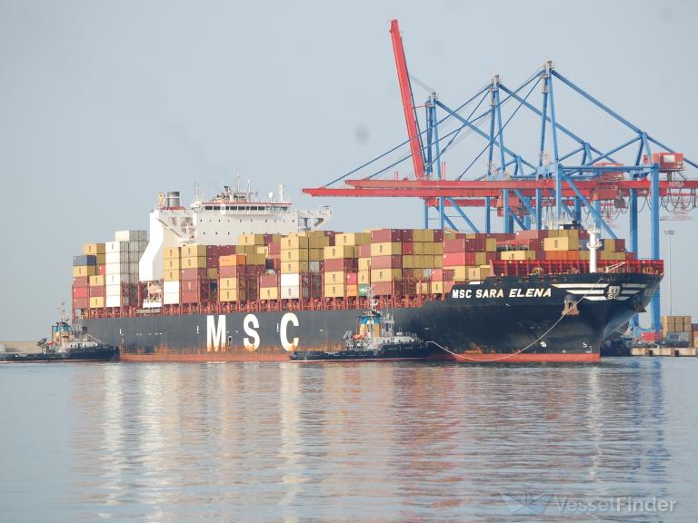 MSC SARA ELENA photo