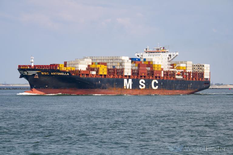 MSC ANTONELLA photo