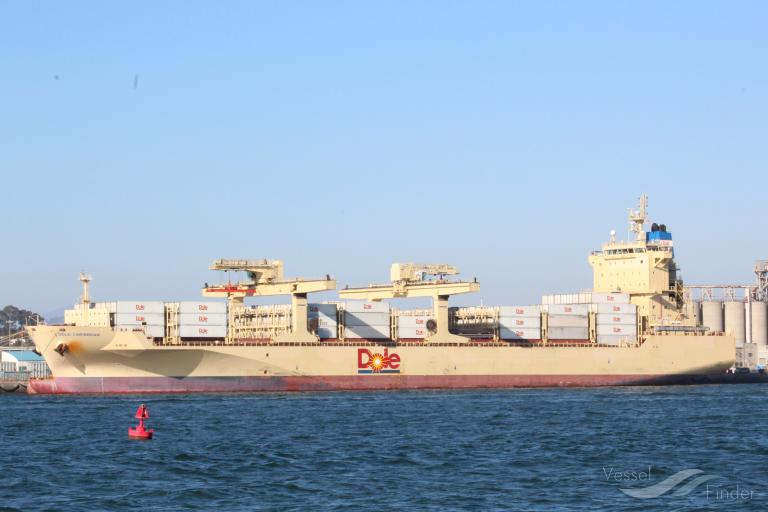 DOLE CARIBBEAN photo