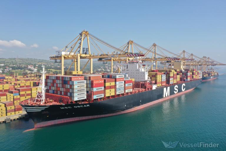 MSC OSCAR photo