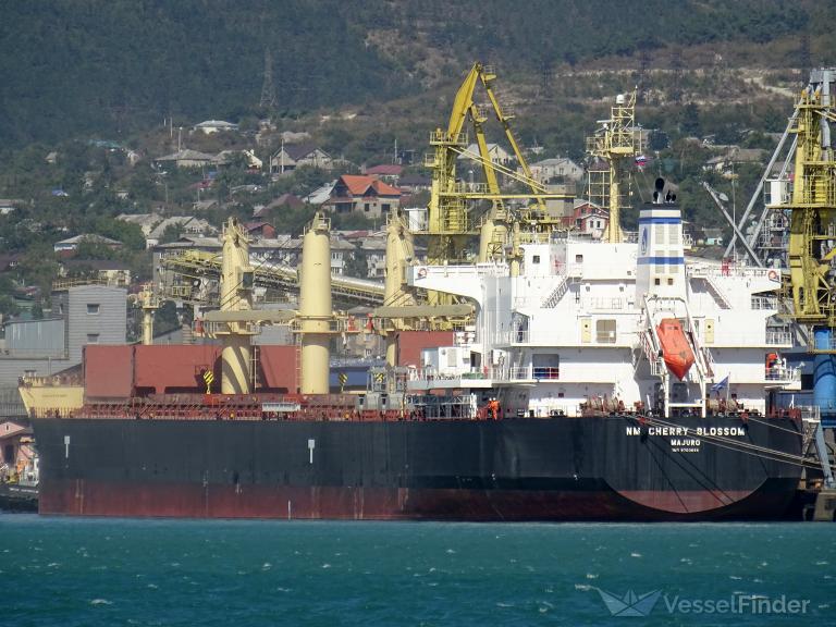 NM CHERRY BLOSSOM photo