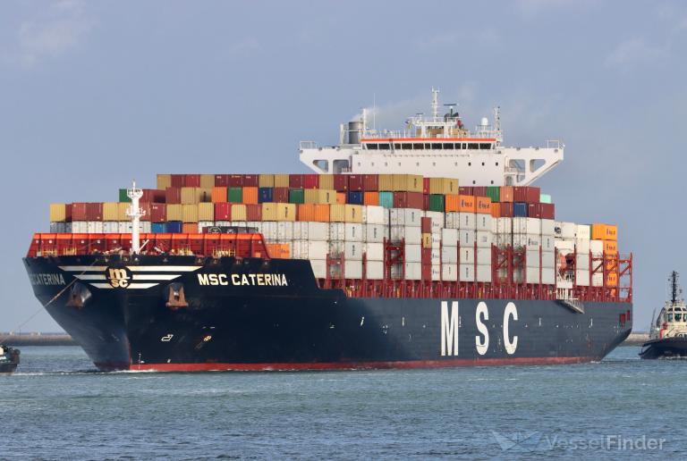 MSC CATERINA photo