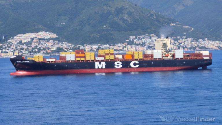 MSC CATERINA
