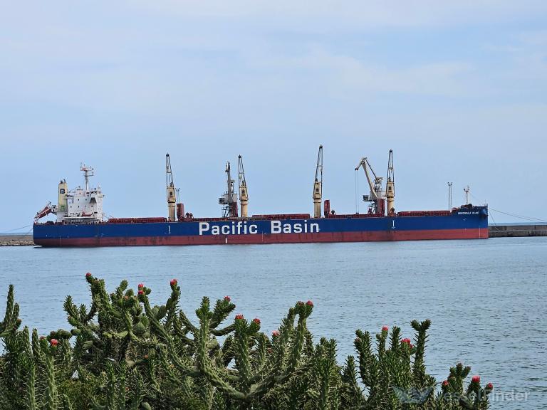 NIGHTINGALE ISLAND photo