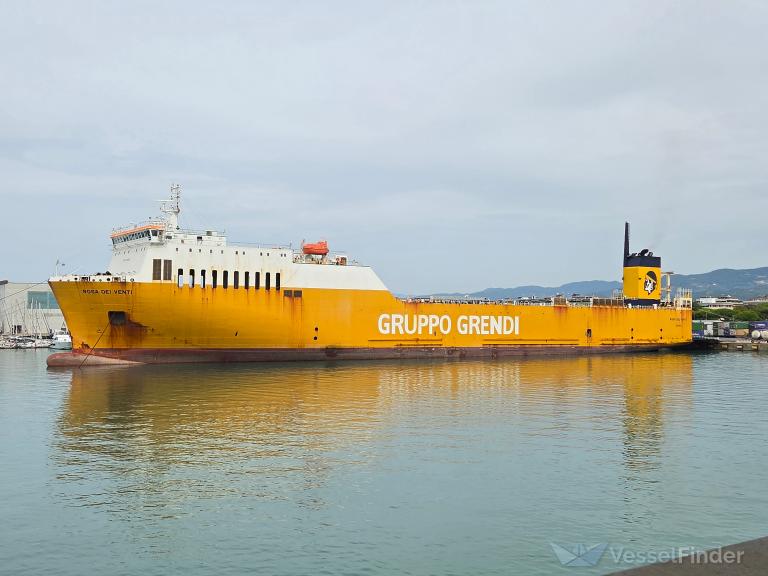 ROSA DEI VENTI photo