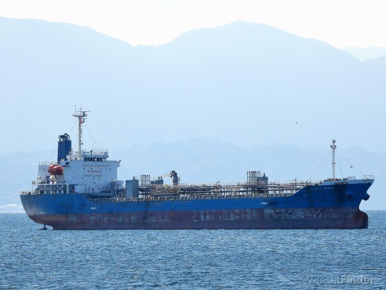 GLOBAL VENUS photo