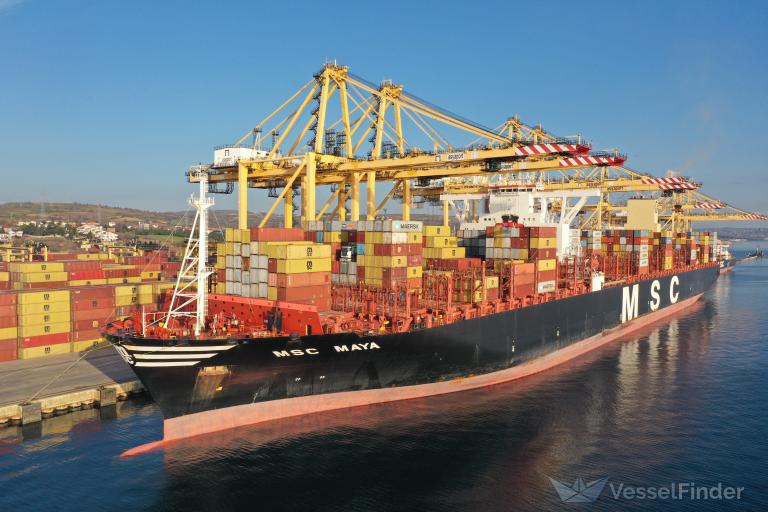 MSC MAYA photo