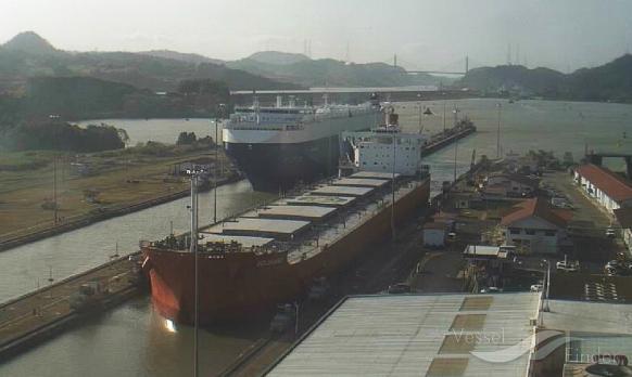 BELGRANO, Bulk Carrier - Details and current position ...