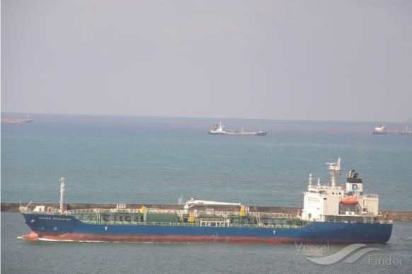 GOLDEN RESOLUTION photo