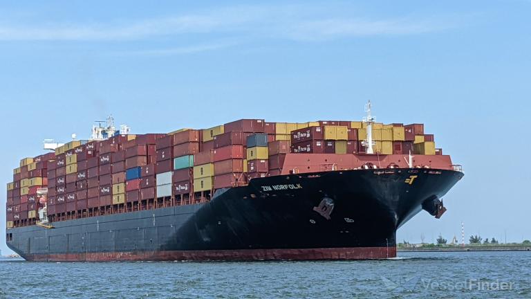 ZIM NORFOLK, Container Ship - Details and current position - IMO