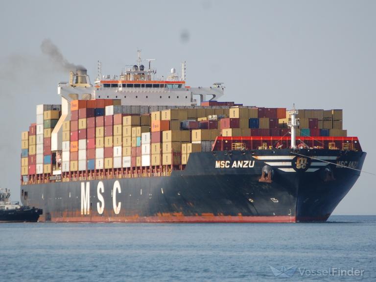 MSC ANZU photo