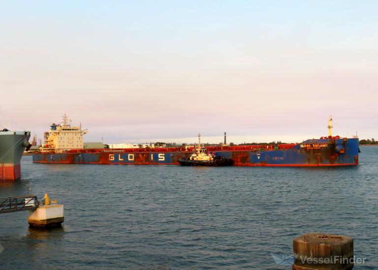 GLOVIS DAYLIGHT photo