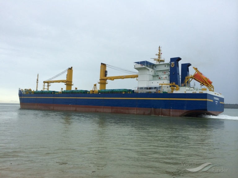 PUSRI INDONESIA 1 photo