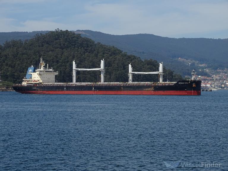 INTERLINK FORTUITY photo