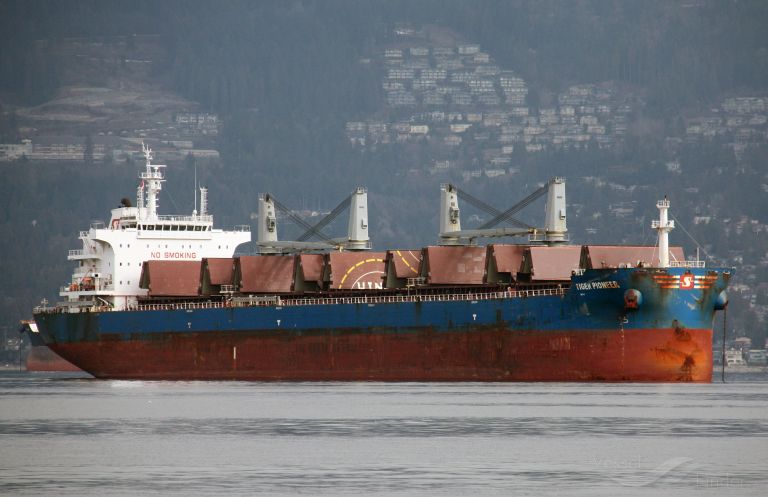TIGER PIONEER photo
