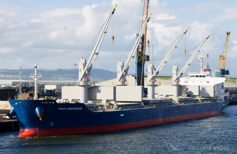 MAAS CONFIDENCE photo