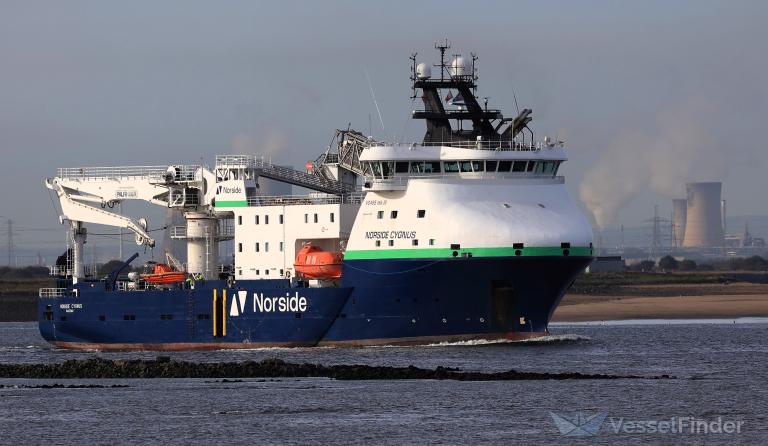 NORSIDE CYGNUS photo