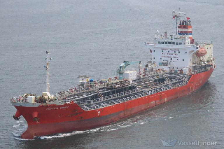 PRINCESS GARNET photo