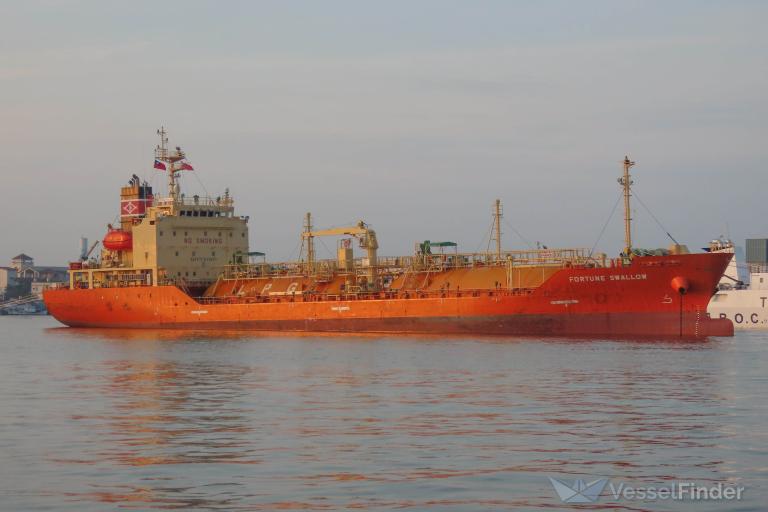 FORTUNE SWALLOW photo