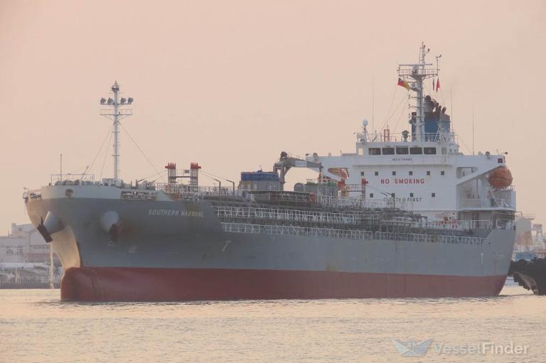 SOUTHERN NARWHAL photo