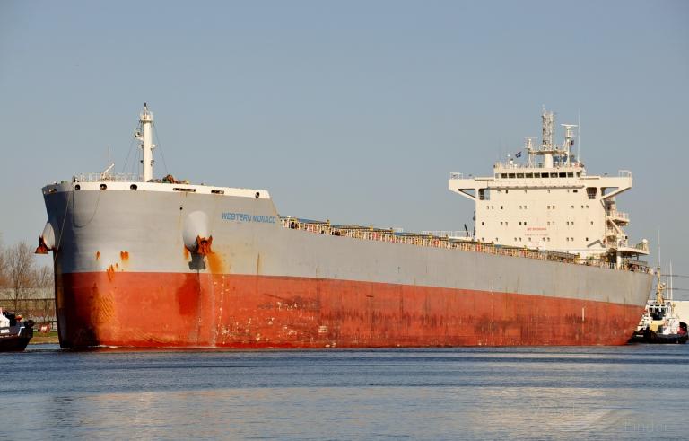 AQUAVITA TRADER photo