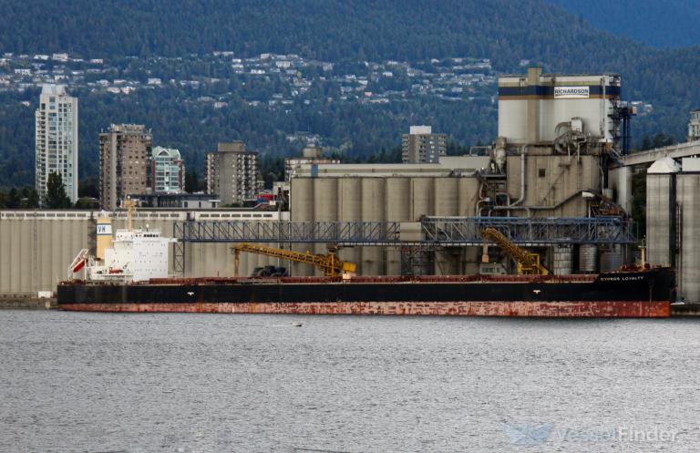 KYPROS LOYALTY photo