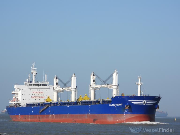 FALCON TRIDENT photo