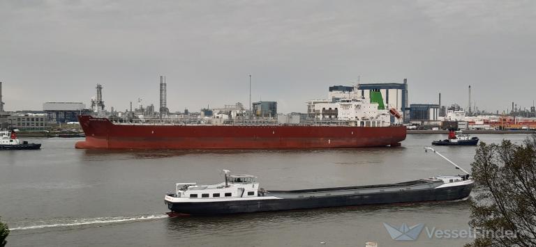 SILVER ERVILIA photo