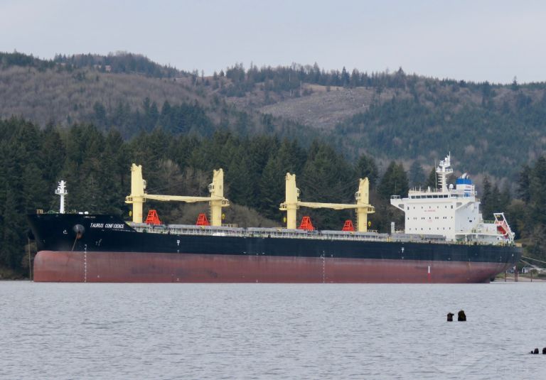 SPAR CASTOR, Bulk Carrier Details and current position IMO 9719666