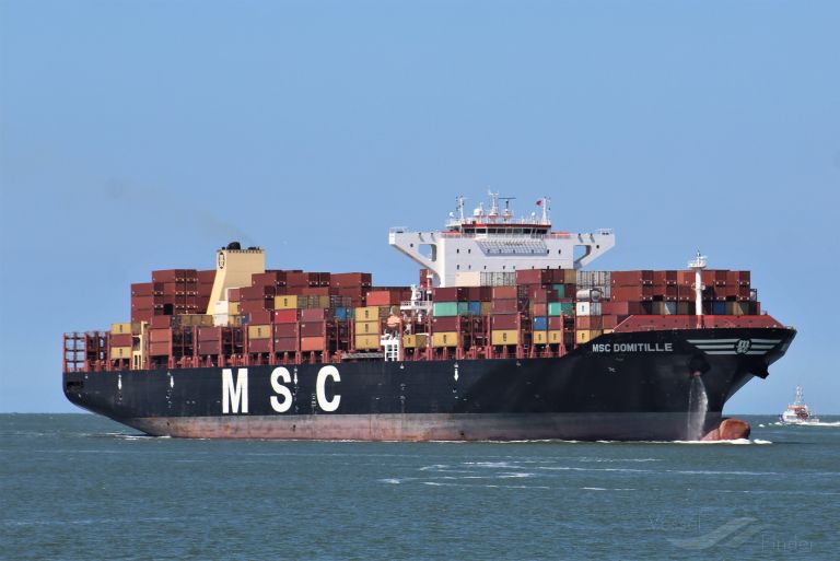 MSC DOMITILLE photo