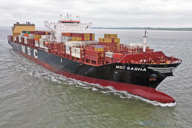 MSC SASHA photo