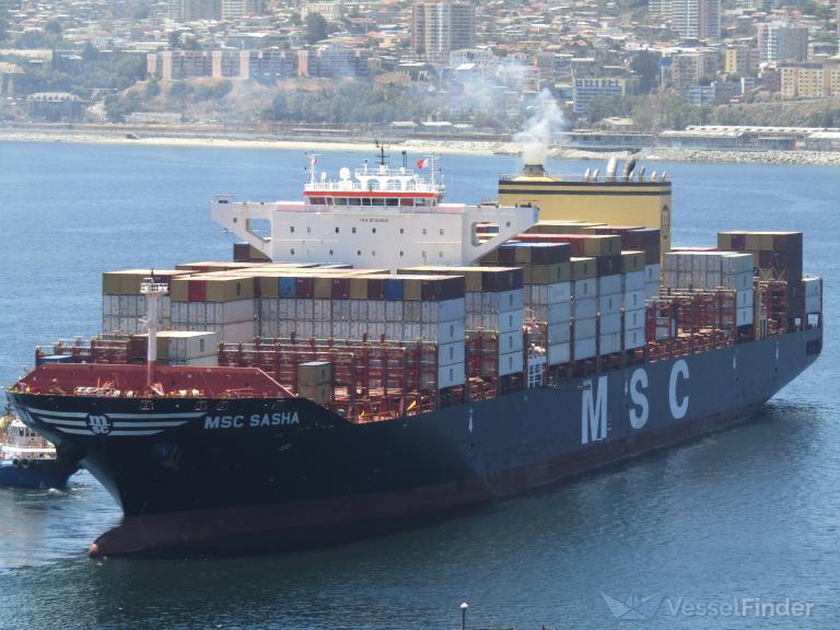 MSC SASHA photo