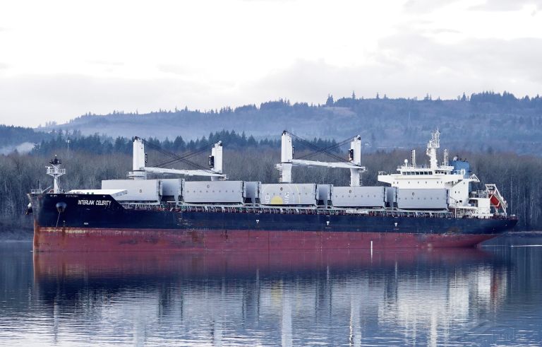 INTERLINK CELERITY photo