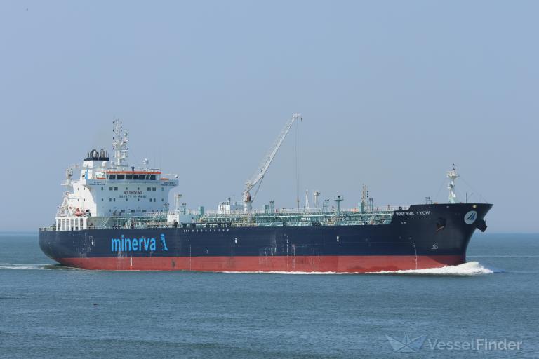 MINERVA TYCHI photo