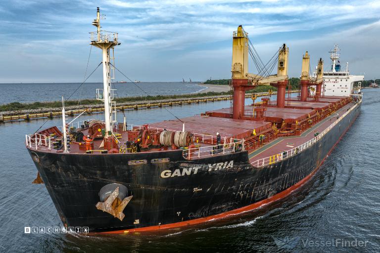 GANT YRIA photo