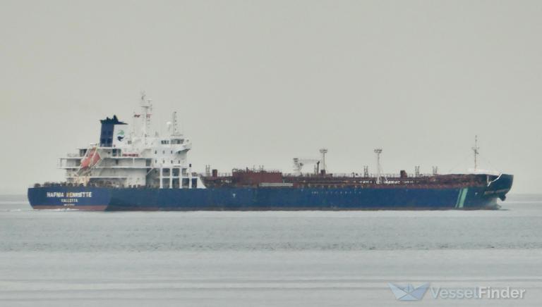 HAFNIA HENRIETTE photo