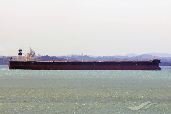 STELLAR BANNER photo