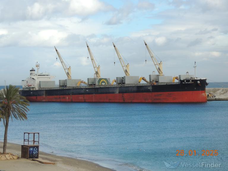 TAI SPLENDOR photo