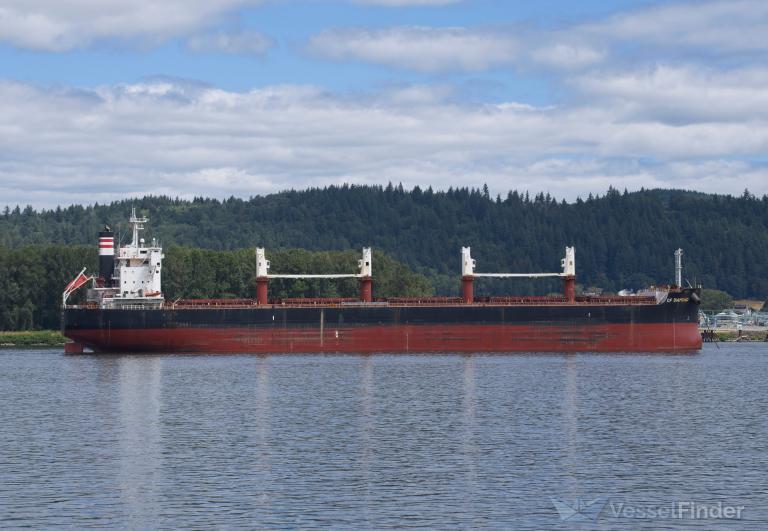 CF DIAMOND, Bulk Carrier Details and current position IMO 9727455