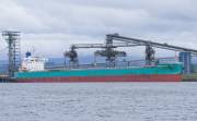 RISING WIND, Bulk carrier, IMO 9582984, Vessel details