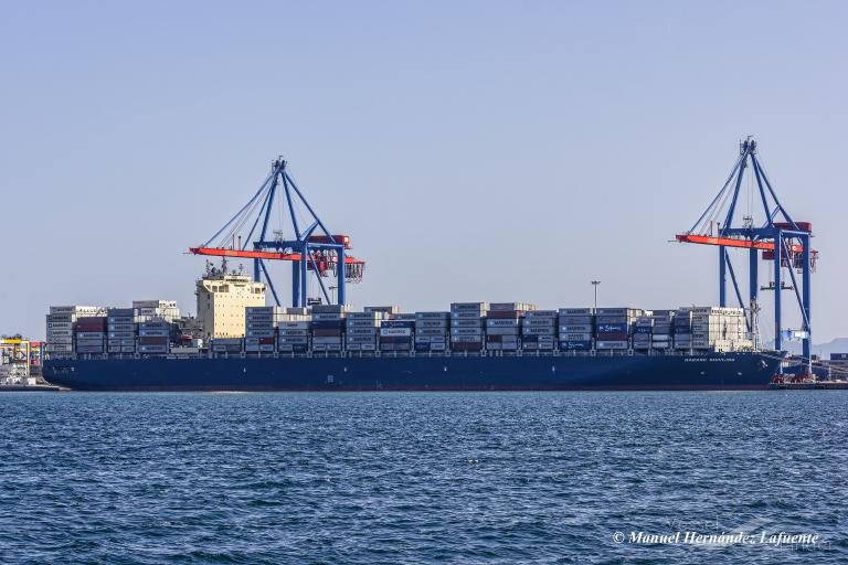 MAERSK SHIVLING, Container Ship - Details and current position - IMO ...