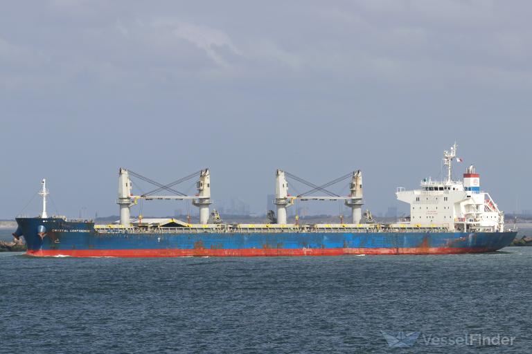 CRYSTAL CONFIDENCE photo