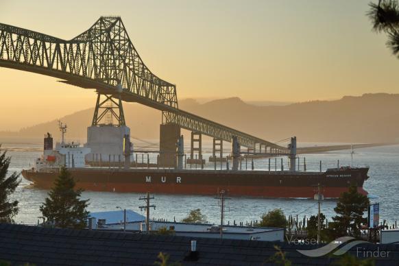 MV AFRICAN WEAVER photo
